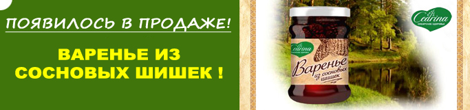 варенье из сосновых шишек